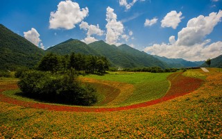 巫溪·红池坝草场｜重庆露营地推荐