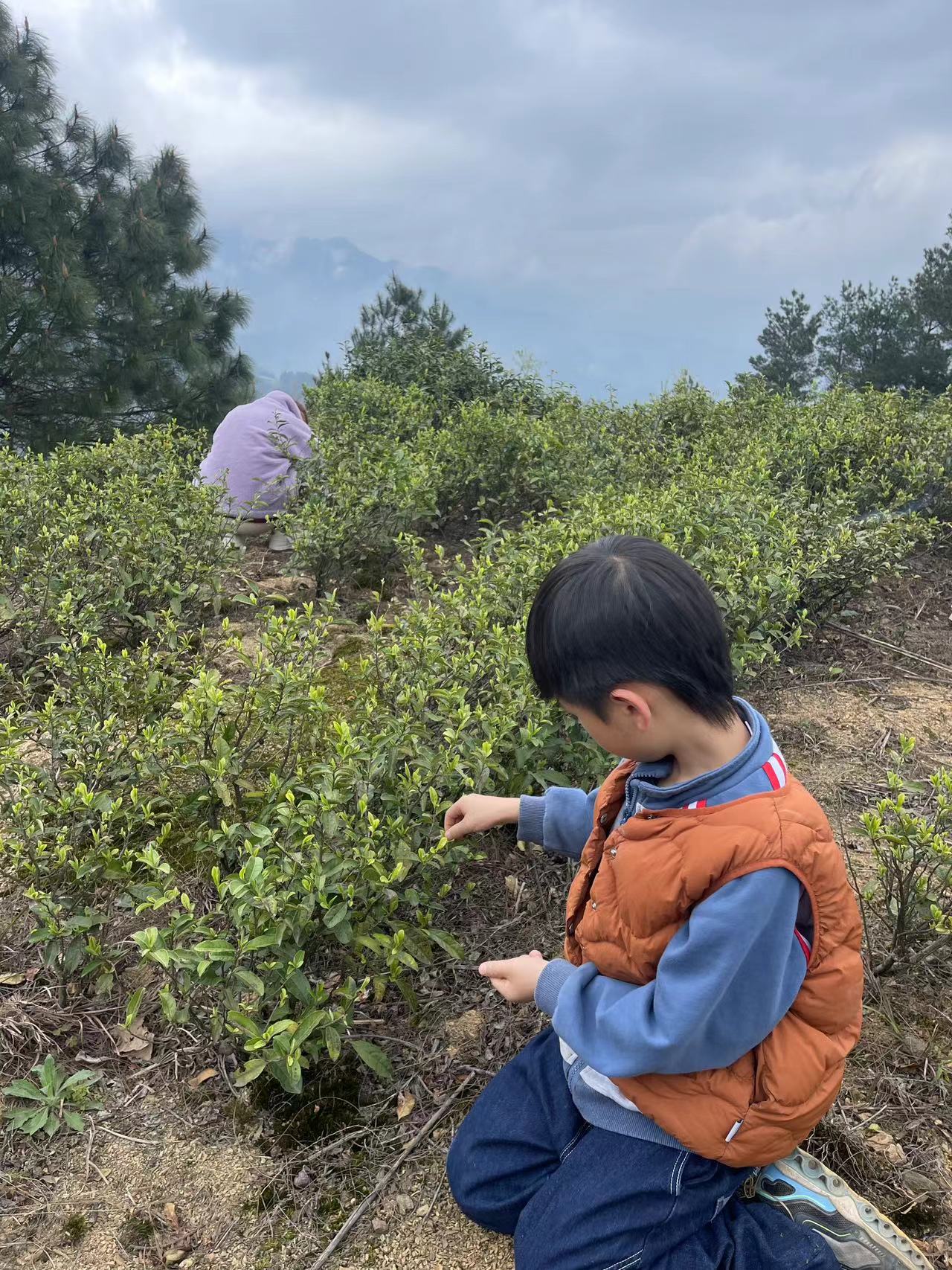重庆周边好玩的营地｜山吉觅林营地-第13张图片-重庆毛毛雨文化创意有限公司