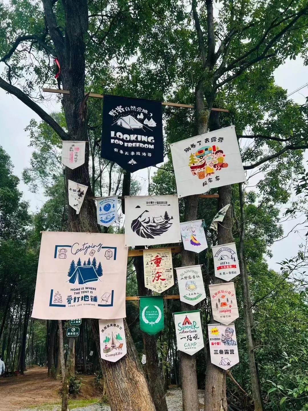 重庆野客自然营地-第2张图片-重庆毛毛雨文化创意有限公司